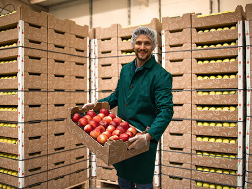 Transport de marchandises périssables : quelles solutions choisir ? 