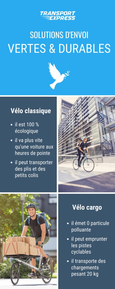 Solutions d'envoi vertes et durables (infographie)