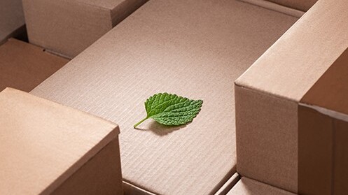 Pourquoi miser sur un emballage &eacute;cologique ?